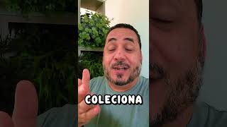 CONHEÇA A MOEDA "FAO" DE 500 MILS que todo Colecionador quer!