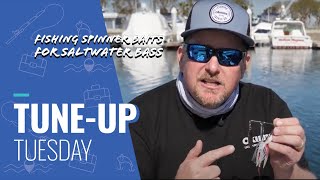 Tune-Up Tuesday | Spinner Baits for Saltwater Bass