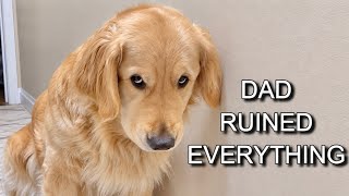 Dad Needs More Training