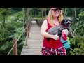 One Final Hike Through Maryland’s Hidden Gem