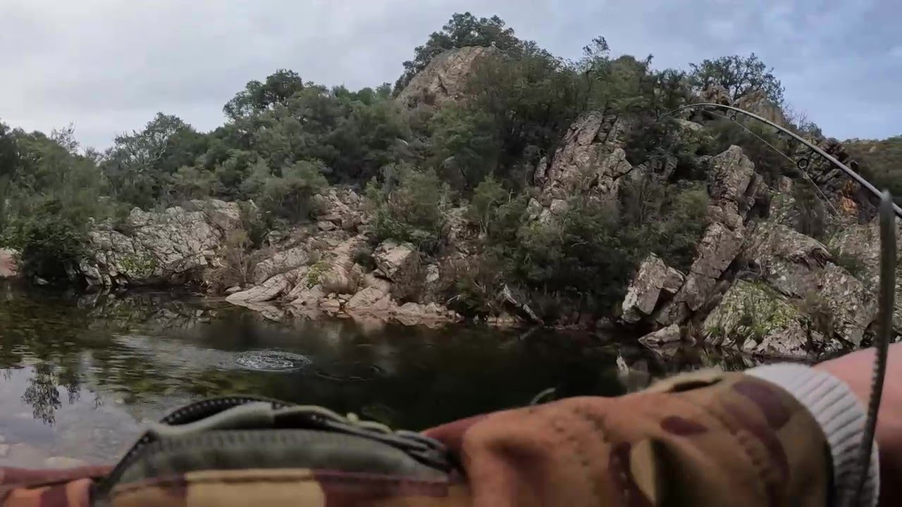 Pesca alla trota e sorprese! Incontro inaspettato con un colosso del fiume!!! (NEW PB!!!)