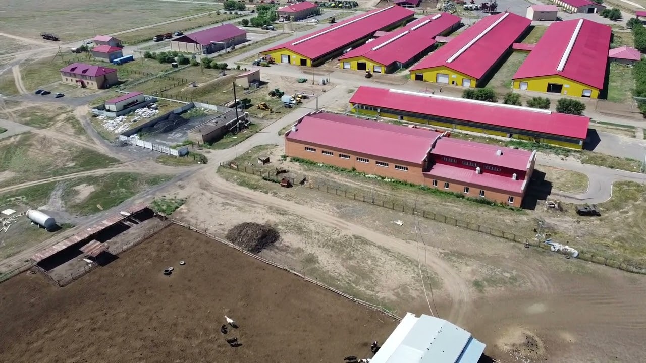 Молочная ферма Астана Оним - YouTube