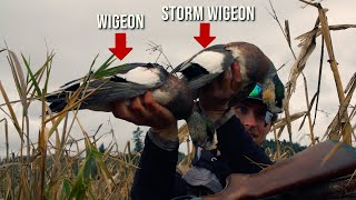 HIGDON OUTDOORS TV - 805 - " Storm Wigeon"