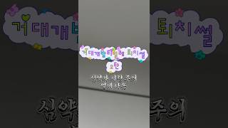 거대개밤티벌레퇴치썰 2탄 #고양이