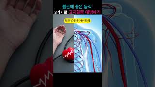 혈관에 좋은 음식 3가지로 고지혈증 예방하기#혈관에좋은음식 #고지혈증예방