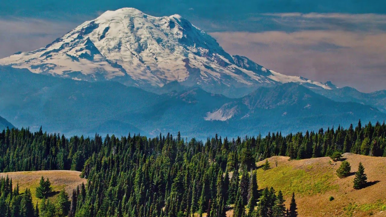 Elk Country Chronicles Rock Creek, WA YouTube
