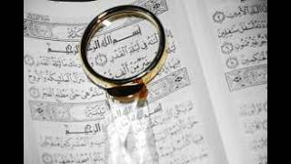 A Precious Opportunity screenshot 5