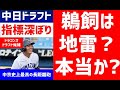 【朗報?悲報?】鵜飼選手のデータ徹底解析→３つの驚愕データ発見！！【ドラフト候補 2021中日ドラゴンズ】鵜飼航丞　ブライト健太　正木智也　即戦力　OPS　ホームランバッター　スラッガー