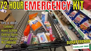 Make This 72 Hour SURVIVAL KIT BEFORE IT IS TOO LATE…DOLLAR TREE CHALLENGE