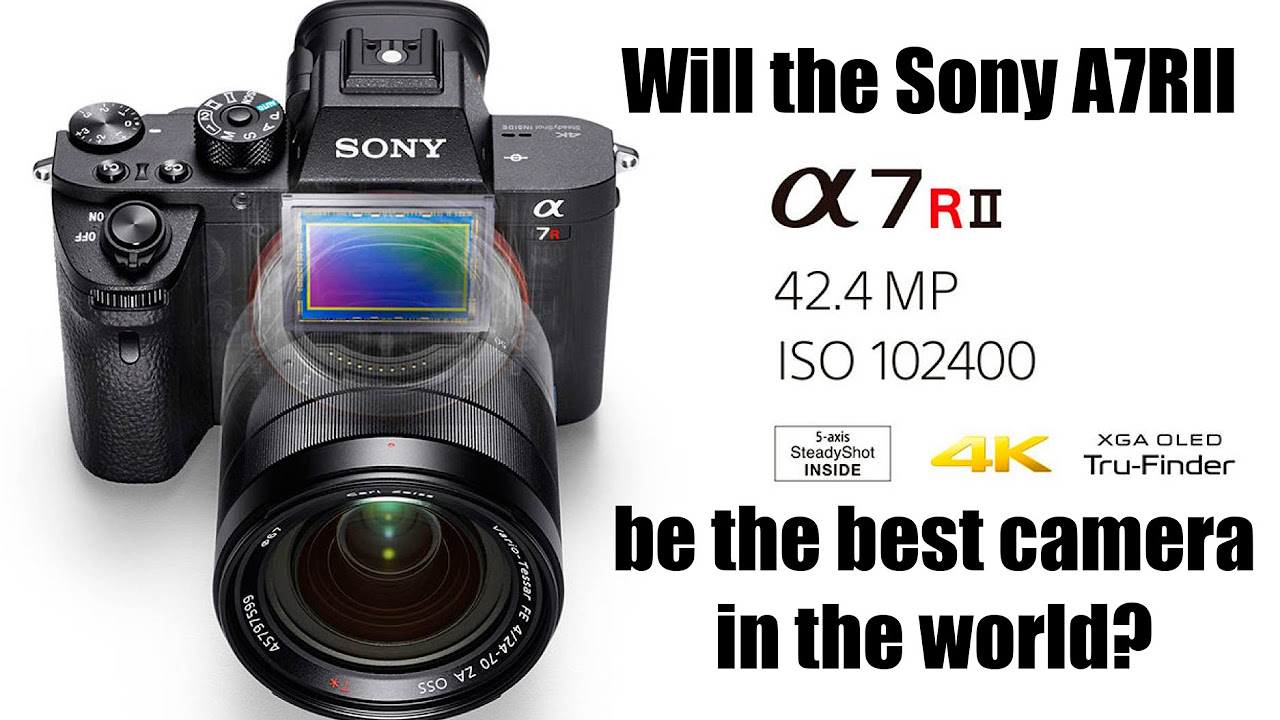 SONY - SONY a7riii   ショット数8500程度 レビュー] 約3年間使用した SONY α7III のシャッター回数を知り