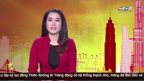 Cà gai leo sạch trồng đạt tiêu chuẩn GACP của Tổ chức y tế thế giới