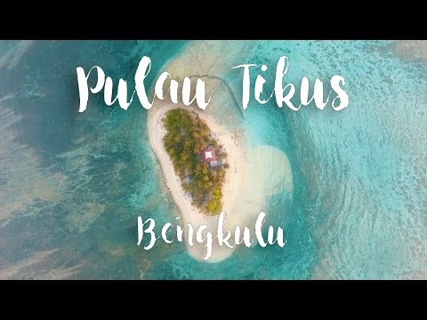 Pulau Tikus Bengkulu Pulau Tikus Bengkulu