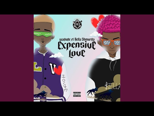 Expensive Love