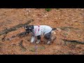 Purgatory Chasm Teaser..... Sort Of And Channel Stuff, Lady Introduction