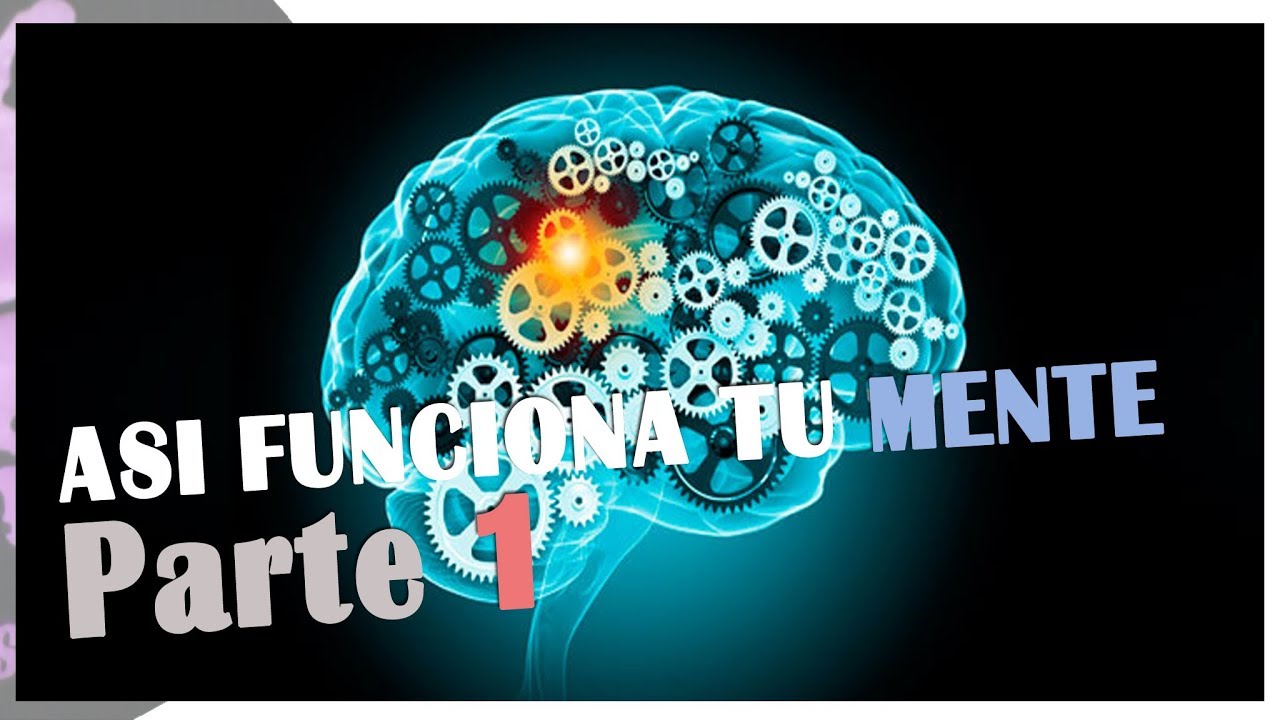 Así Funciona tu MENTE | Procesos Psicológicos Básicos | por PsicoVlog mentos
