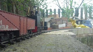 PPS DeWinton on the Dragons Friendly Light Railway