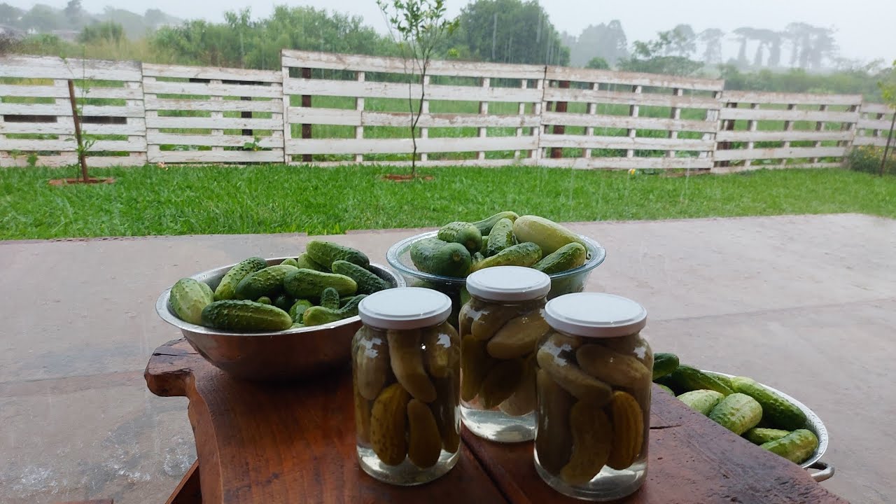 Horta e Conserva | Um dia tranquilo no lar.