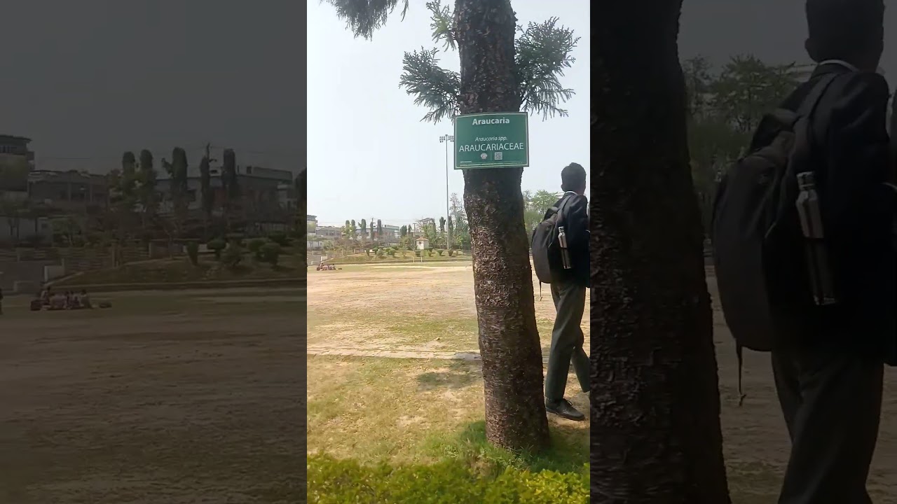 Graphic era university dehradun girls hostel tour 