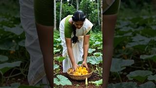 Amazing Kitchen Garden Setup 🌱 | Grow Your Own Vegetables at Home 🏡