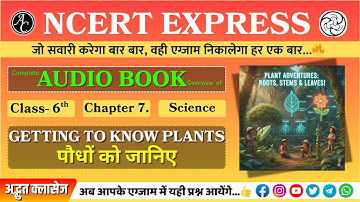 🌿 पौधों का संपूर्ण रहस्य! | जड़, तना, पत्ती, फूल | Herbs, Shrubs and Trees | Class 6 Science Ch 7