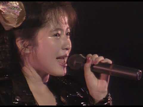 三浦理恵子-08-水平線でつかまえて(Live 1992)
