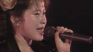 三浦理恵子-08-水平線でつかまえて(Live 1992)
