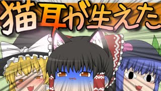 【ゆっくり茶番】猫耳が生えた霊夢に魔理沙がキャラ崩壊！？