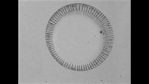 Drying of colloidal films