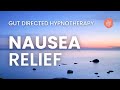 Meditation for nausea  calm upset stomach  hypnosis for ibs  digestion