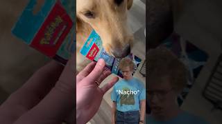 Pokémon Knockout Box pt 2! Shoulda Let Nacho Eat It!!!