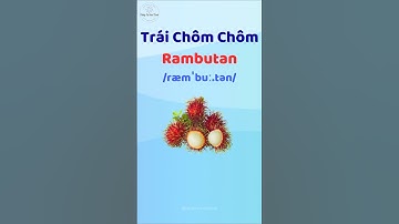 Trái Chôm Chôm - Học từ vựng và phát âm tiếng Anh #thaytuvuitinh
