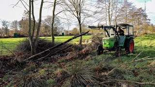 Baum bergen mit dem Deutz 4006 - Ehrliche Traktor Arbeit!