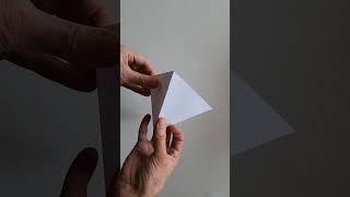 From Paper Triangle to Stellated Octahedron