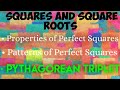 ICSE CLASS 8 MATHS ~ 3. SQUARES AND SQUARE ROOTS (Ex. 3.2)