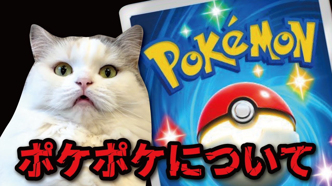 猫たちがポケポケにハマってるみたいです【猫アニメ】【コント】