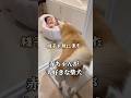 赤ちゃんのことを心配する柴犬 #shorts