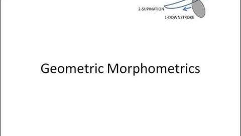 Geometric Morphometrics Review part1