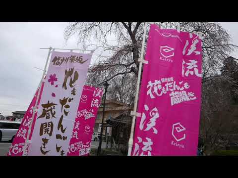 酒蔵見学〜春の蔵開き