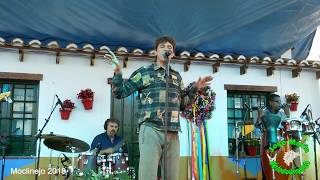 MOCLINEJO 2018 JAVIER OJEDA Tema En La Soledad 09/09/2018