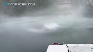 Water Devils Spotted Near Wailoa Boat Harbor