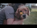 NEW Natural Life Dog Treasures Are Finally Here NEW Natural Life Dog Treasures Are Finally Here