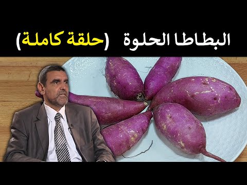 البطاطا الحلوة طاقة طبيعية أم مجرد سكريات د محمد الفايد برنامج نخل ورمان