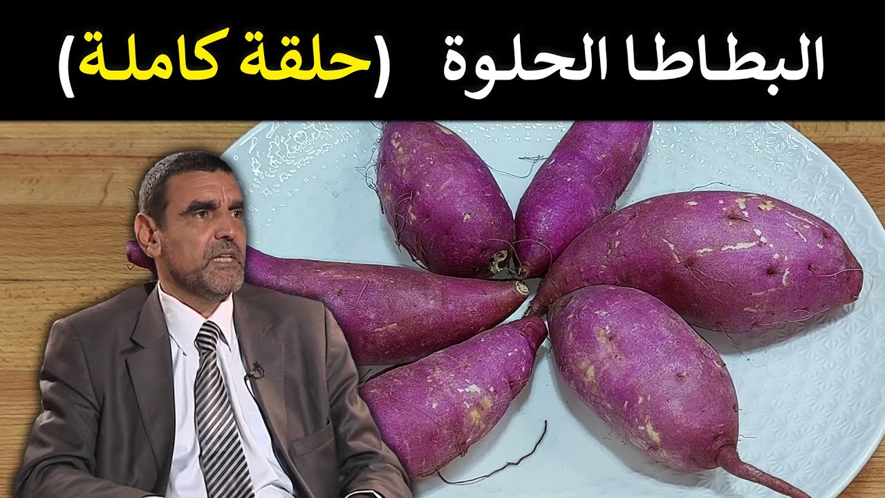 🔹 البطاطا الحلوة: طاقة طبيعية أم مجرد سكريات؟ 🍠 د. محمد الفايد 🌴 #برنامج_نخل_ورمان