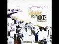 Summer Samba(So Nice) - Bebel Gilberto - AUDIOPHILE BOSSA VOICE - By Audiophile Hobbies.