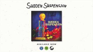 Fields and Fences - Sudden Suspension