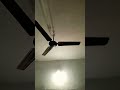 Fanzzz