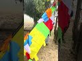 Buddhist flag &amp; Ludar hale ko #football #sceniclandscapes #volleyballcompetition #fishing #love