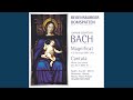 Miniature de la vidéo de la chanson Cantata, Bwv 10 "Meine Seel Erhebt Den Herren": Iii. Recitativo (Tenore) "Des Höchsten Güt Und Treu"
