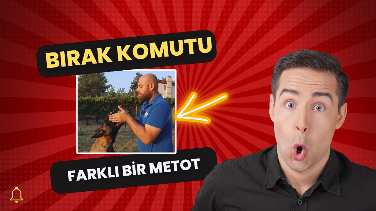 KÖPEĞİNDE BIRAK KOMUTU İÇİN BİRDE BUNU DENE (Köpek Eğitiminde Farklı Bir Metot)