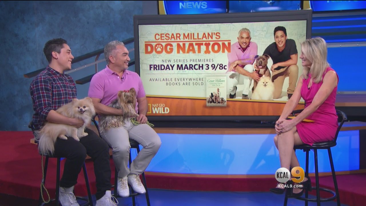 Dog Whisperer Launches New Show YouTube